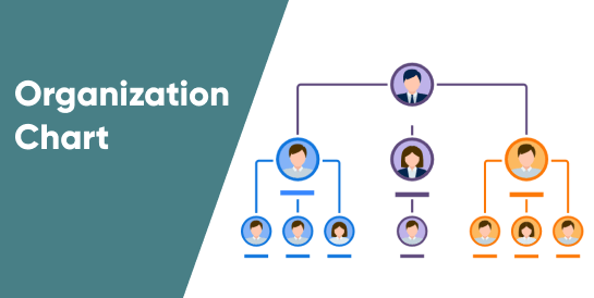 Org Chart - Odoo 13.0